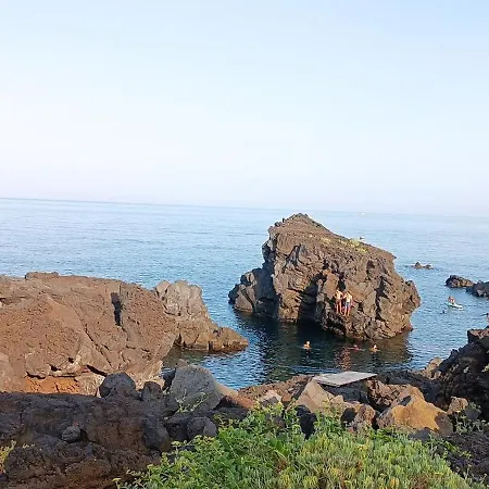 Apartment Oasis House